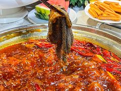 -蜀院鲜火锅(高升桥店)