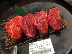 ヒレ-俺的焼肉(銀座9丁目店)