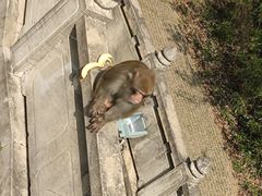 -苏州上方山国家森林公园
