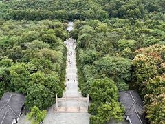 -宜兴龙背山森林公园