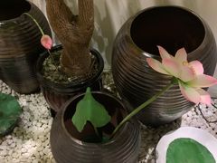 -汤臣海派理疗公馆