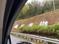 -龙井峡漂流