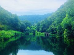 -桃花岭景区