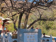 -潭柘寺景区