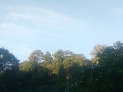-乌鲁淡布隆国家公园