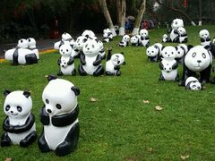 -成都大熊猫繁育研究基地