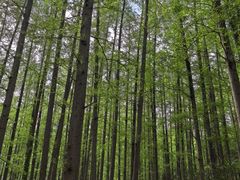 -上海怡沁园度假酒店