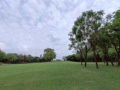 -顺峰山公园