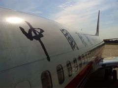 标准照-中国联合航空