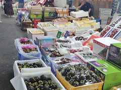 -沈阳市八家子水果批发市场