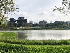 -海珠湖公园