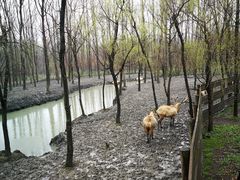 -溱湖国家湿地公园