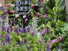 -上海久光百货