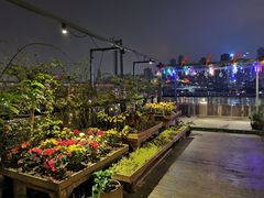 -冰冰龙虾·江湖菜·花园江景餐厅