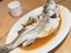 -百年银屏·蚝烙专门店(乐山店)