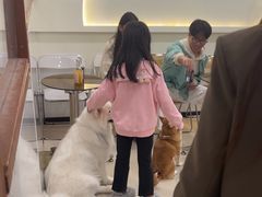 -共舞时光猫咖·狗咖(新街口店)