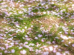 -龙美术馆(西岸馆)