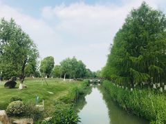-九科绿洲