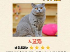 -宠颐生斯嘉宠物医院·急重症·心内科(谷阳北路分院)