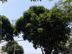 -龙舟池