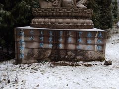 -武陵山森林公园