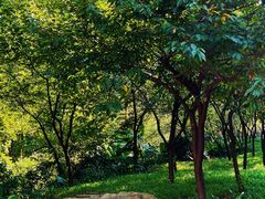 -广州市帽峰山景区