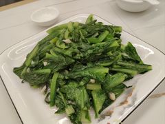 油麦菜-东北饺子馆(马尾君竹店)