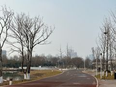 -西安浐灞国家湿地公园