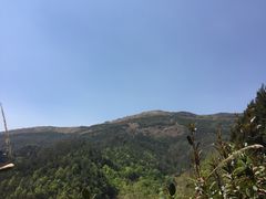 -长虫山生态公园风景林