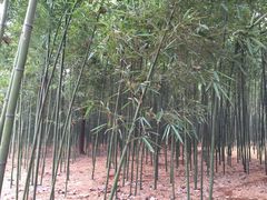 -同里国家湿地公园