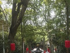 -九华山公园