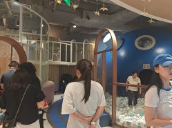 -MELAND CLUB亲子乐园•派对(石家庄万象城店)