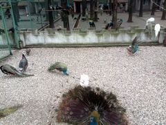 景点-南京金牛湖风景区