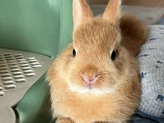 -雨林宠物医院 非犬猫异宠专科