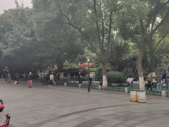 -常州古运河南大街文化旅游区-人民公园