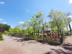 -荣德灶台鱼(圣泉寺店)