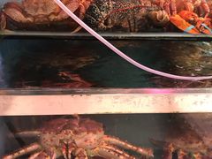 帝王蟹-蛇口市场