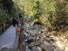 -九龙江国家森林公园