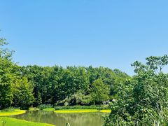 -桤木河湿地公园