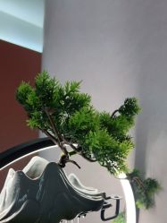 -木北造型