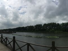 -溱湖国家湿地公园