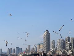 -星海广场