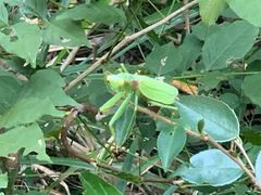 -众神白水涧景区