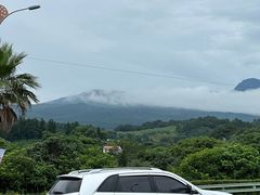 -西归浦每天偶来市场
