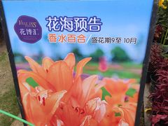 -花博汇(知音花月夜)