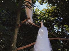 -泉州海丝野生动物世界