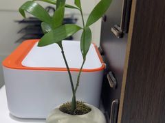 -雅悦齿科(顾村公园店)