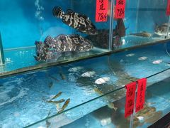-海大大蒸汽海鲜餐厅·粤菜·特色小炒(欢乐颂店)