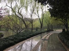 -柳浪闻莺公园
