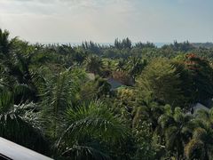 -海南清水湾莱佛士酒店